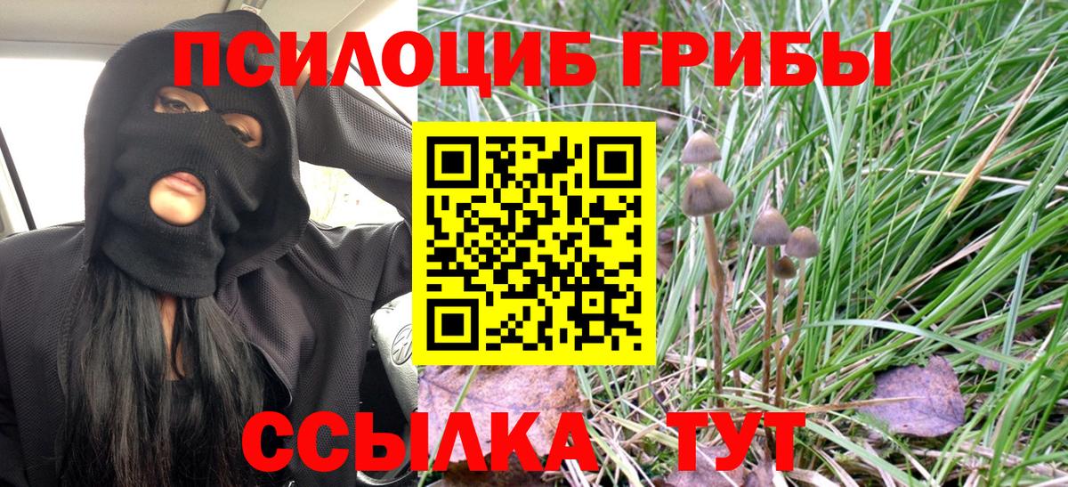 Галлюциногенные грибы MAGIC MUSHROOMS Нижнекамск