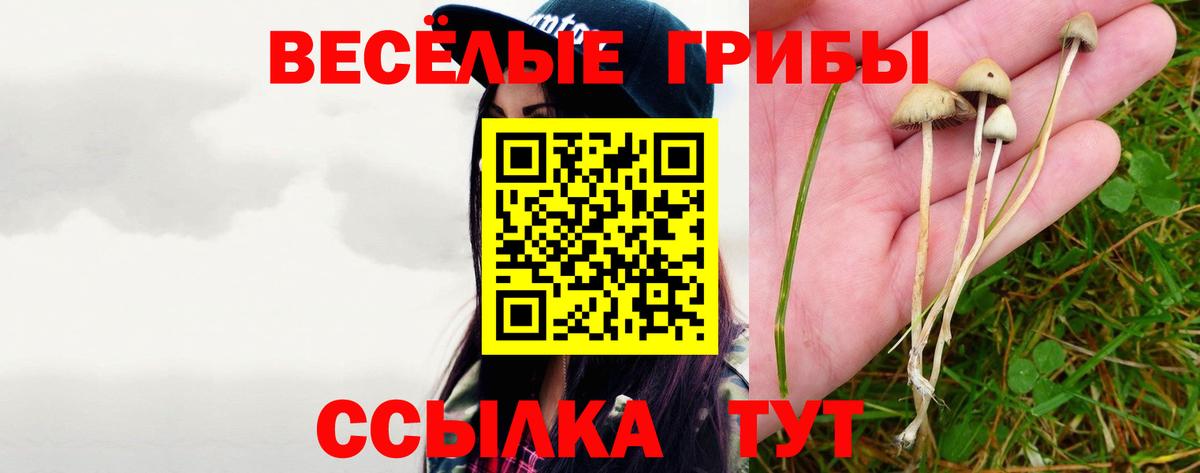 Галлюциногенные грибы Psilocybine cubensis  Вход с VPN  где купить наркоту  Псилоцибиновые грибы мухоморы  Нижнекамск 